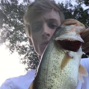 Meet your Posher, Bradley